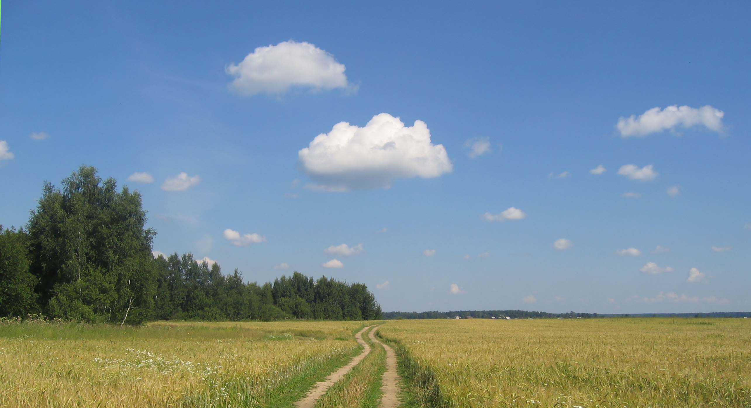 Дорожка