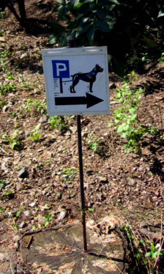 Dog parking