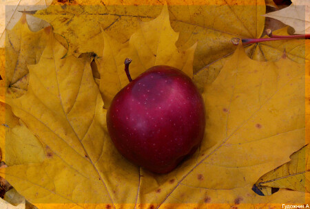 Осенний урожай