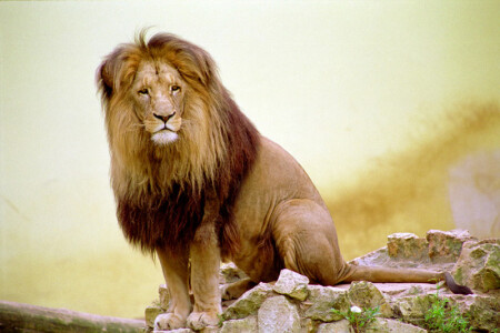 ближе не подходи...