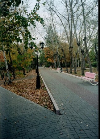 скоро осень