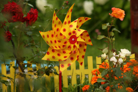 Краски лета