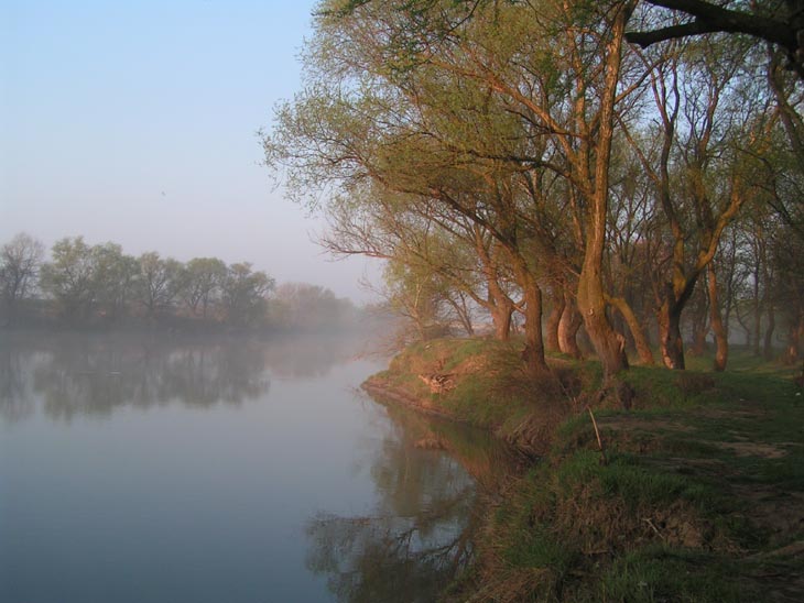 рассвет на Днестре