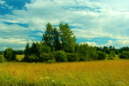 Июль