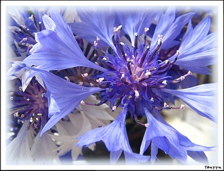 Осколок неба