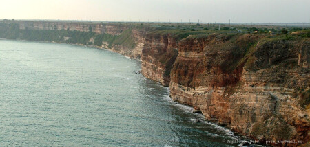 Полет альбатроса