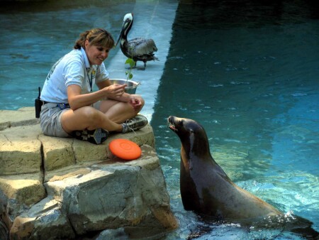 благоговение