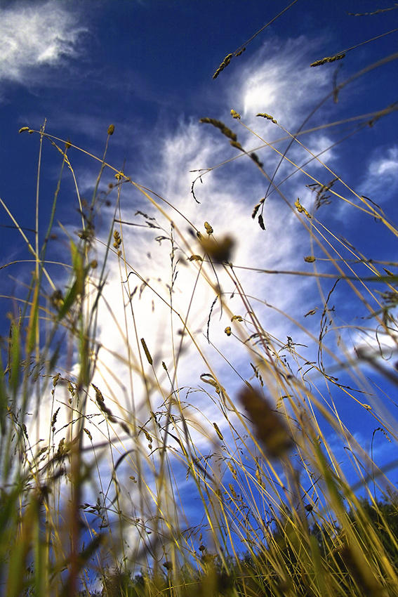 ПВО
