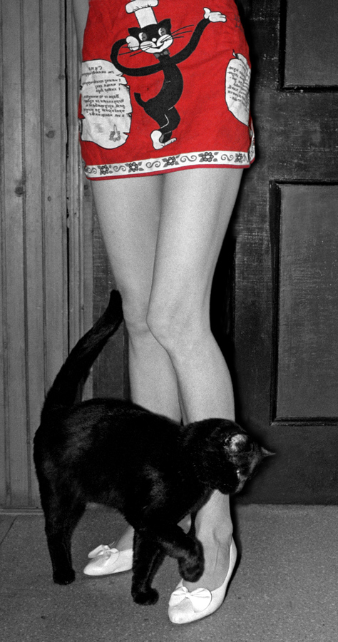 Cats are girls best friends