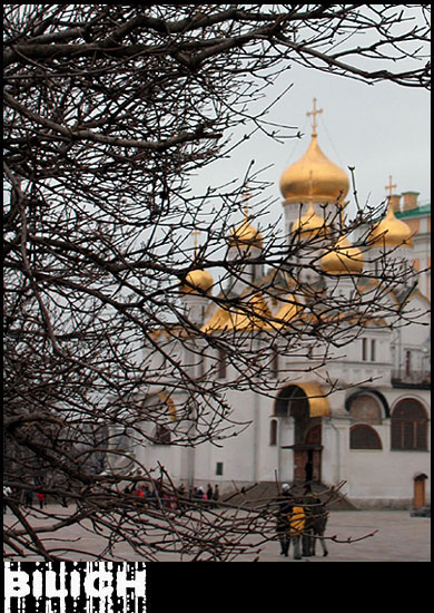 Купола