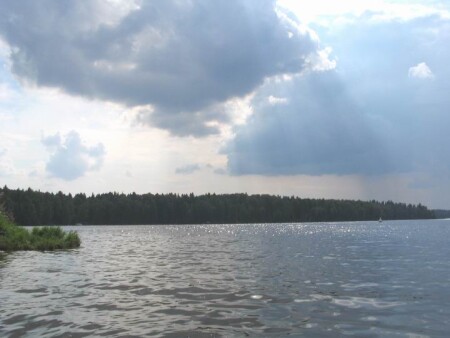 Лучи солнца