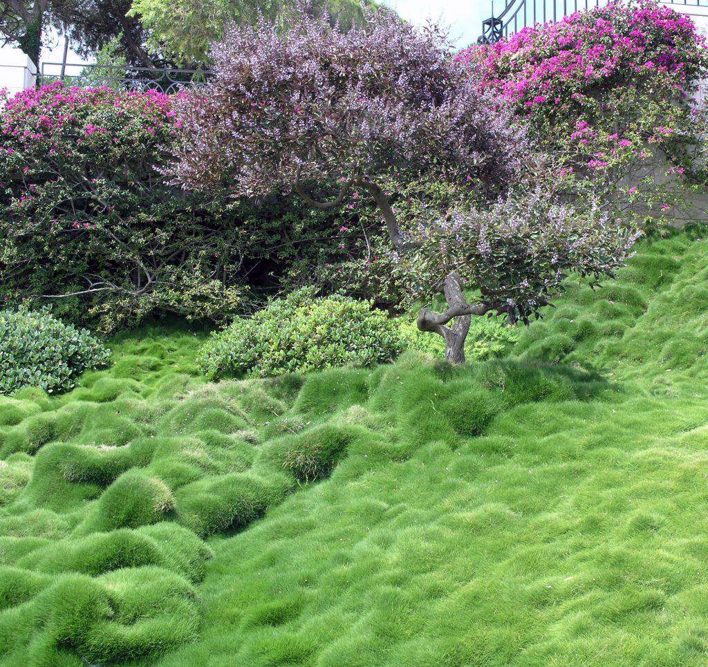 Bahai Garden 3