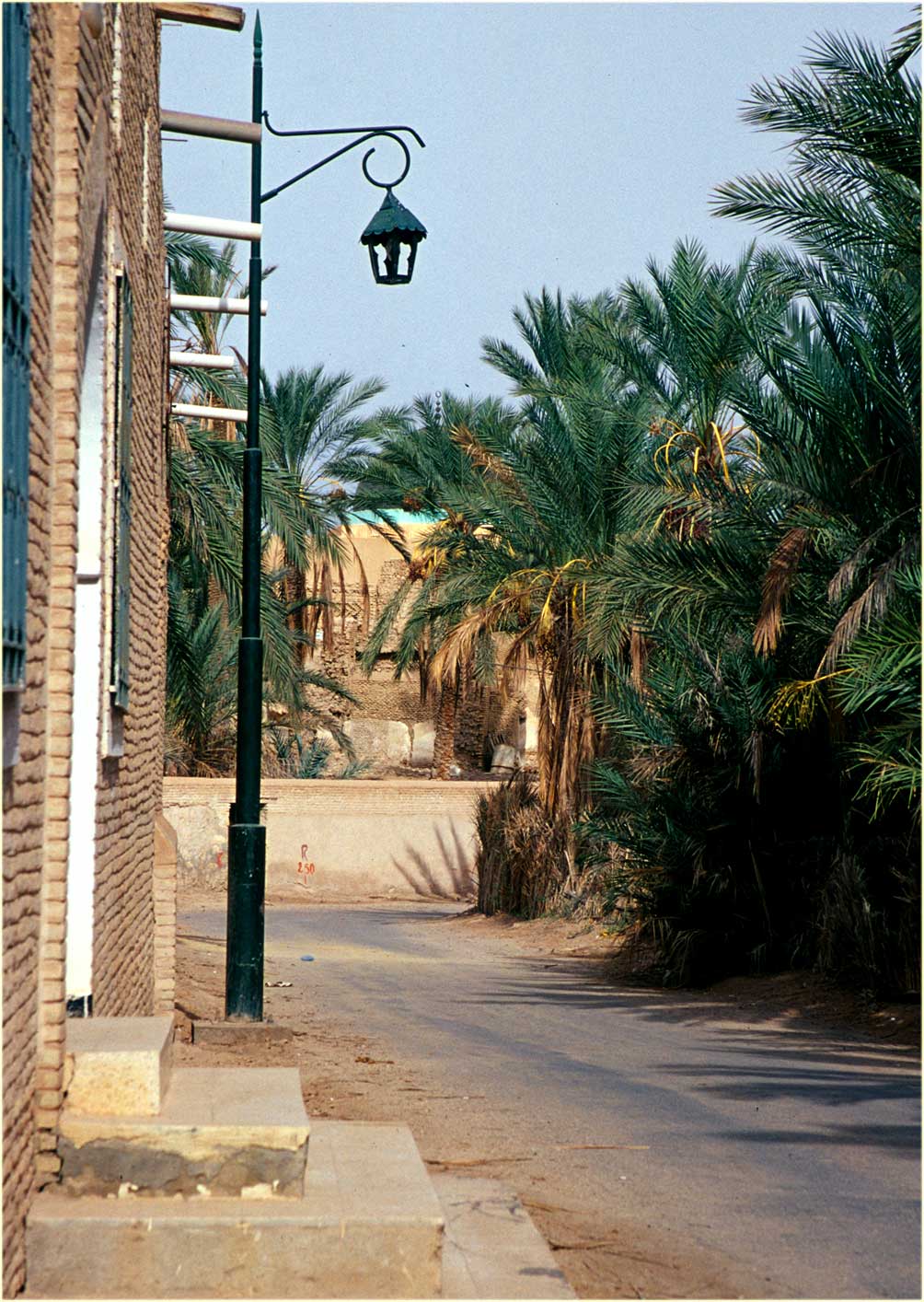 Tunis