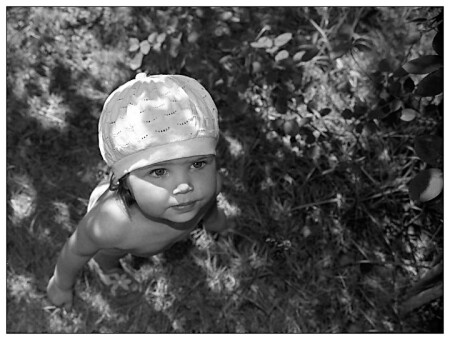 Когда деревья были большими 