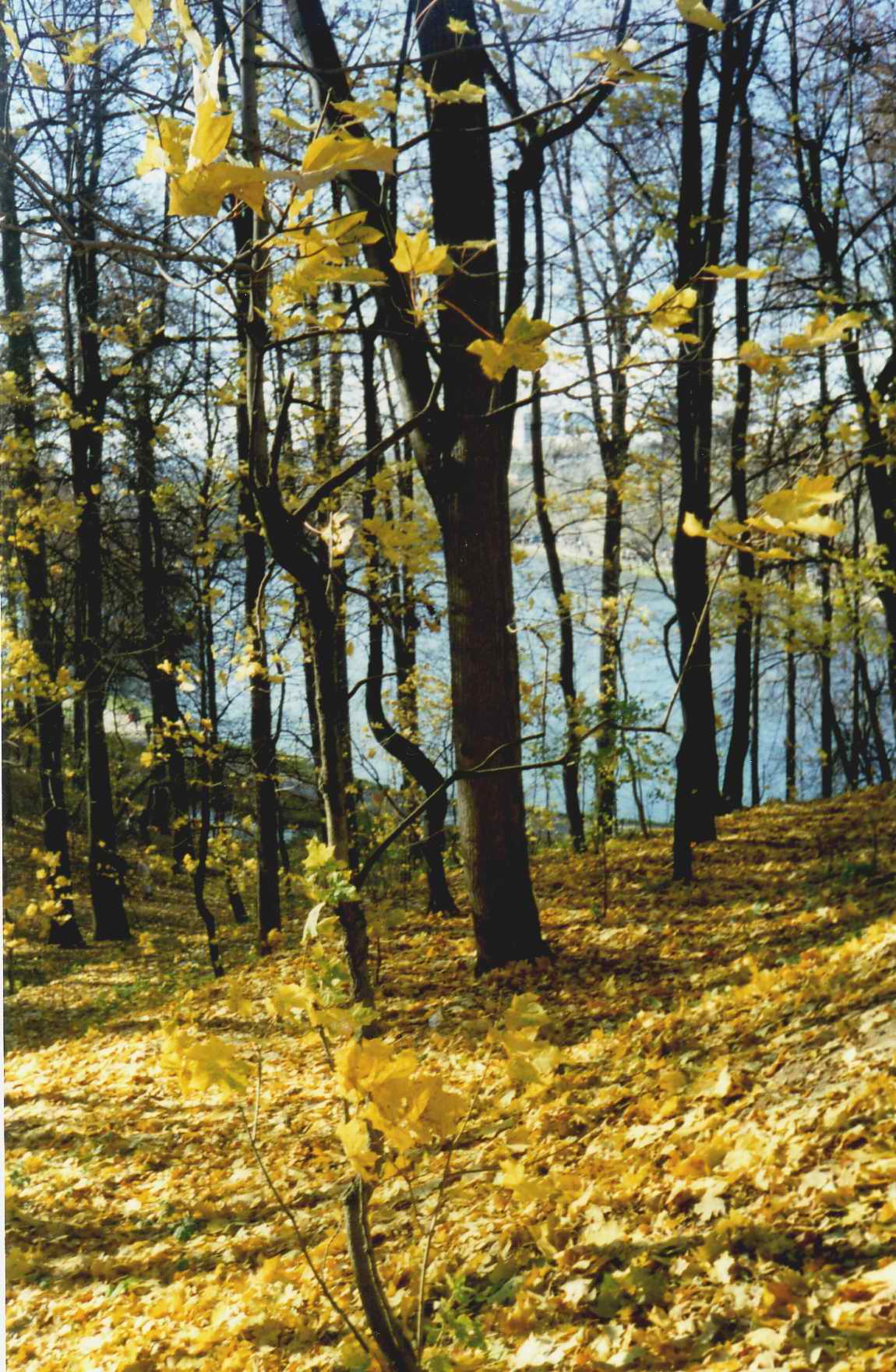 Осень