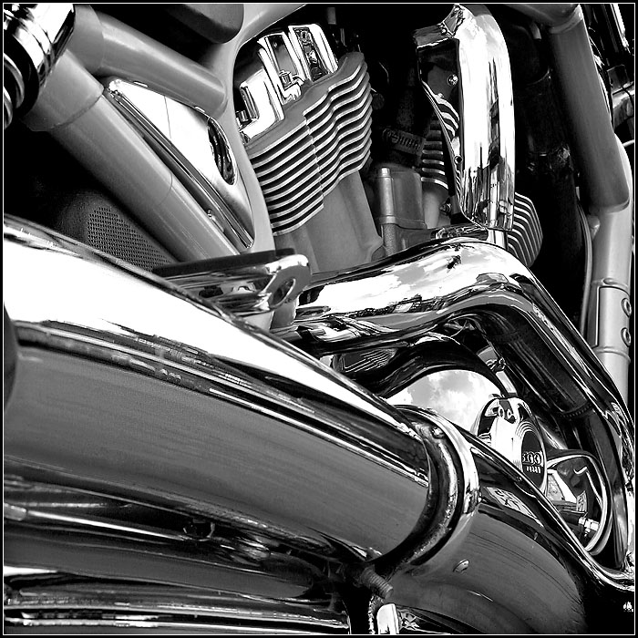 Harley...
