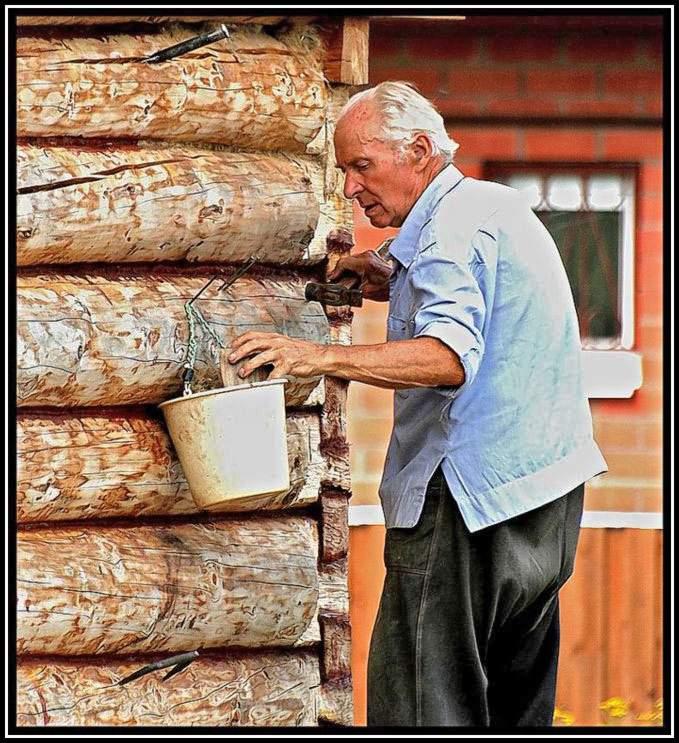 Дом для внуков.