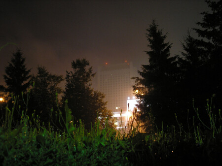 Летняя ночь