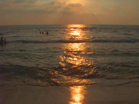 Всё золото света