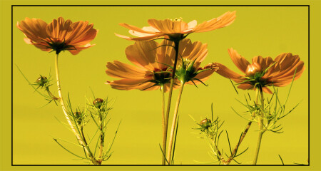 ...underside...