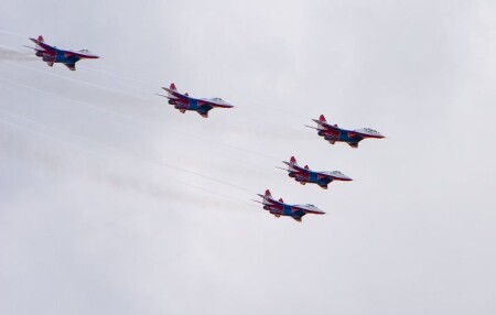 Стрижи, MAKC 2005