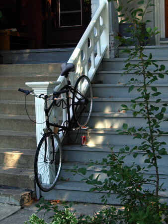 упавшая цепь, лестница и увядшие листья [fallen chain, stairs and a few whithered leaves]