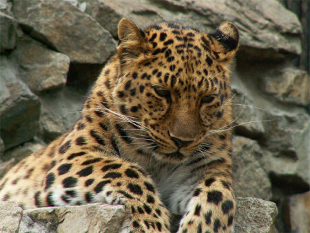 Как хочется домой...