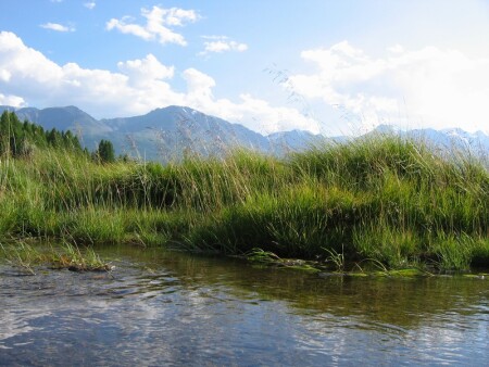 Оазис среди холодных гор