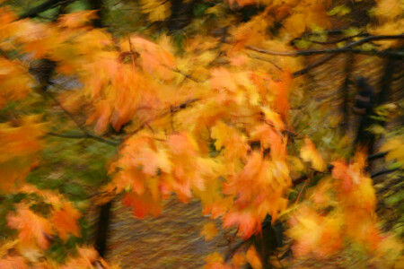 Осеннее настроение