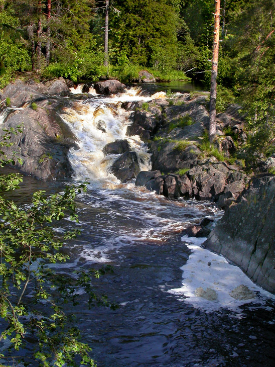 КАРЕЛЬСКИЕ ДЖУНГЛИ-2