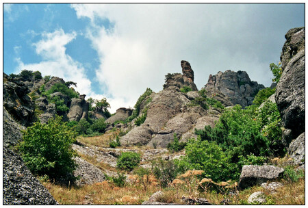 Моя тропа