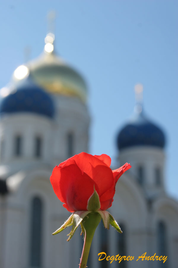 Возрождение