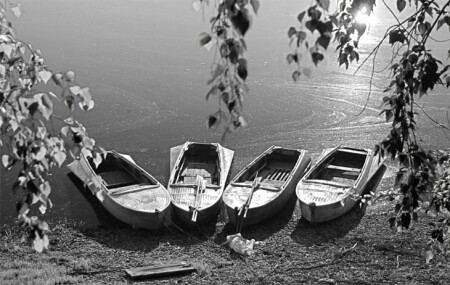 На рассвете