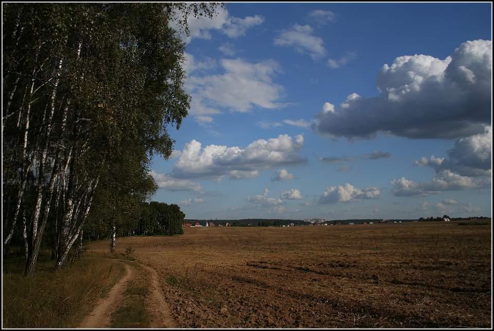 Дорога домой 