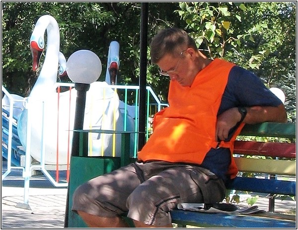 лебеди