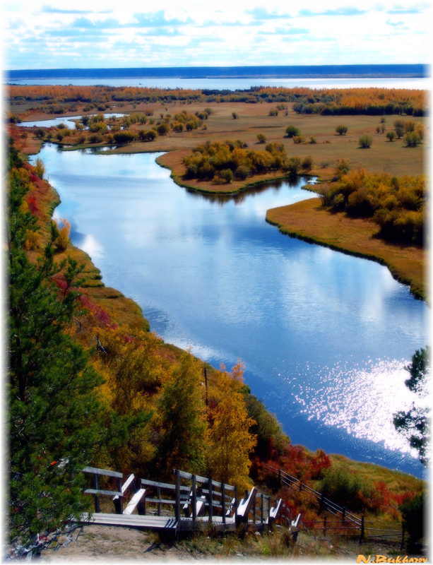 Берега Лены