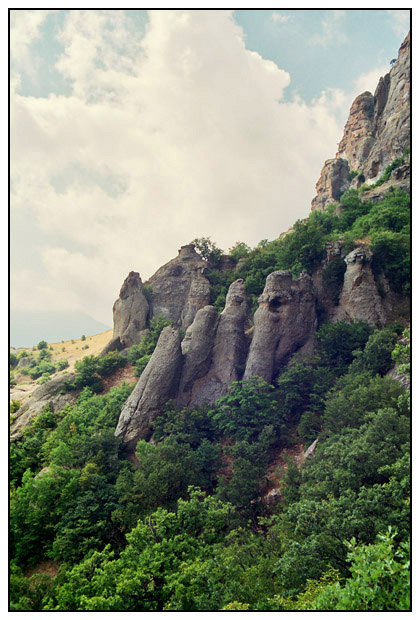Слон_