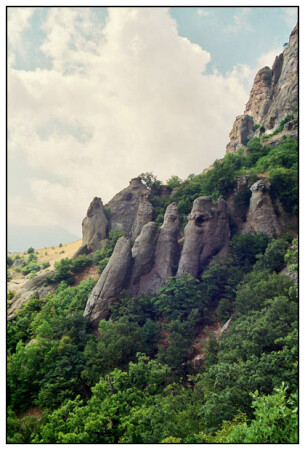 Слон_