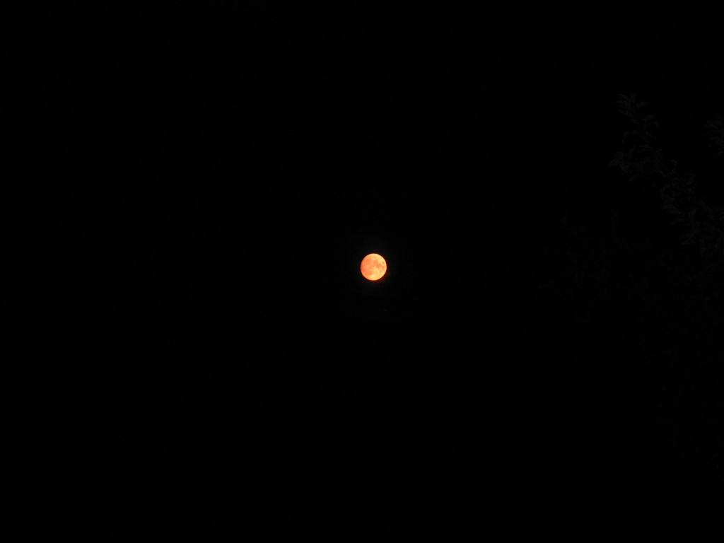Moon light