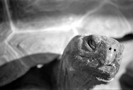 Утомленный солнцем