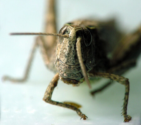 Разрешите пригласить на танец...