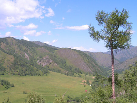 Пейзаж с бансаем