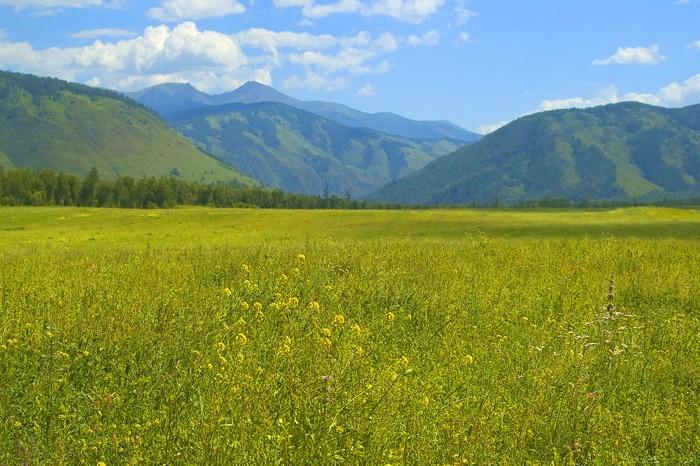 Впереди Кузуяк