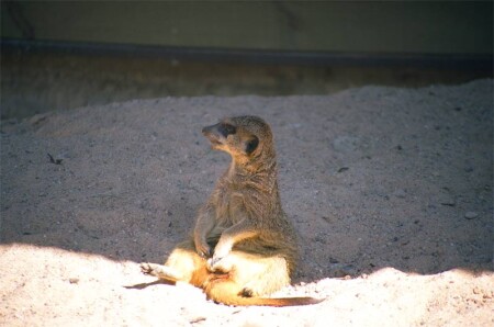 Что хочу то и грею.