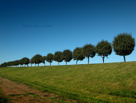 KEEP ON LIVING