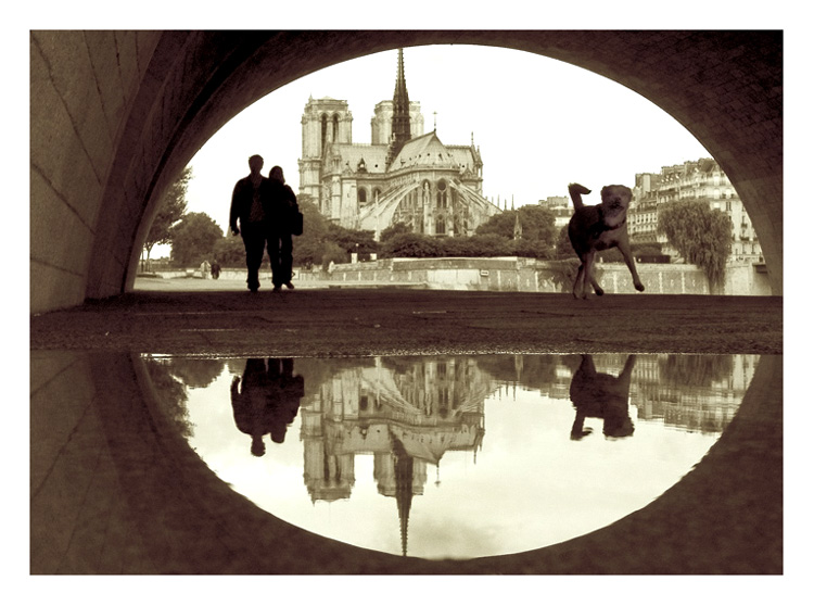 notre_dame09