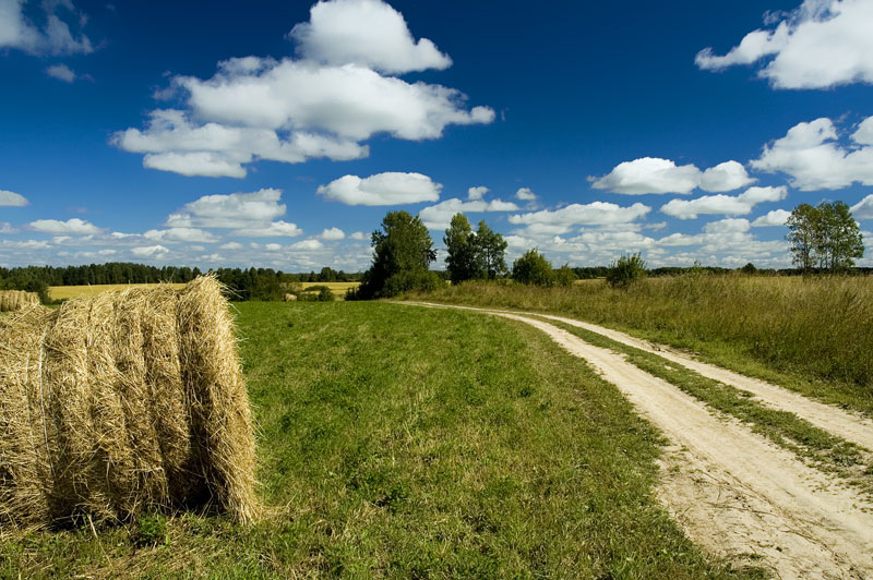 Близится осень