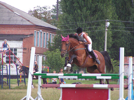 конкур... другой ракурс