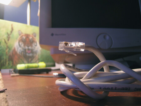 доигрались в Маугли...