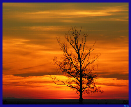 Одиночество.